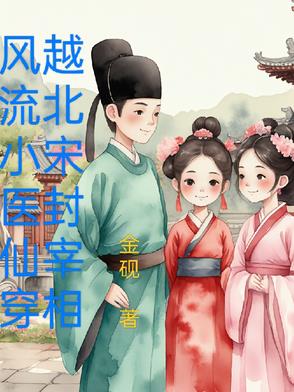 风流小医仙，穿越北宋封宰相